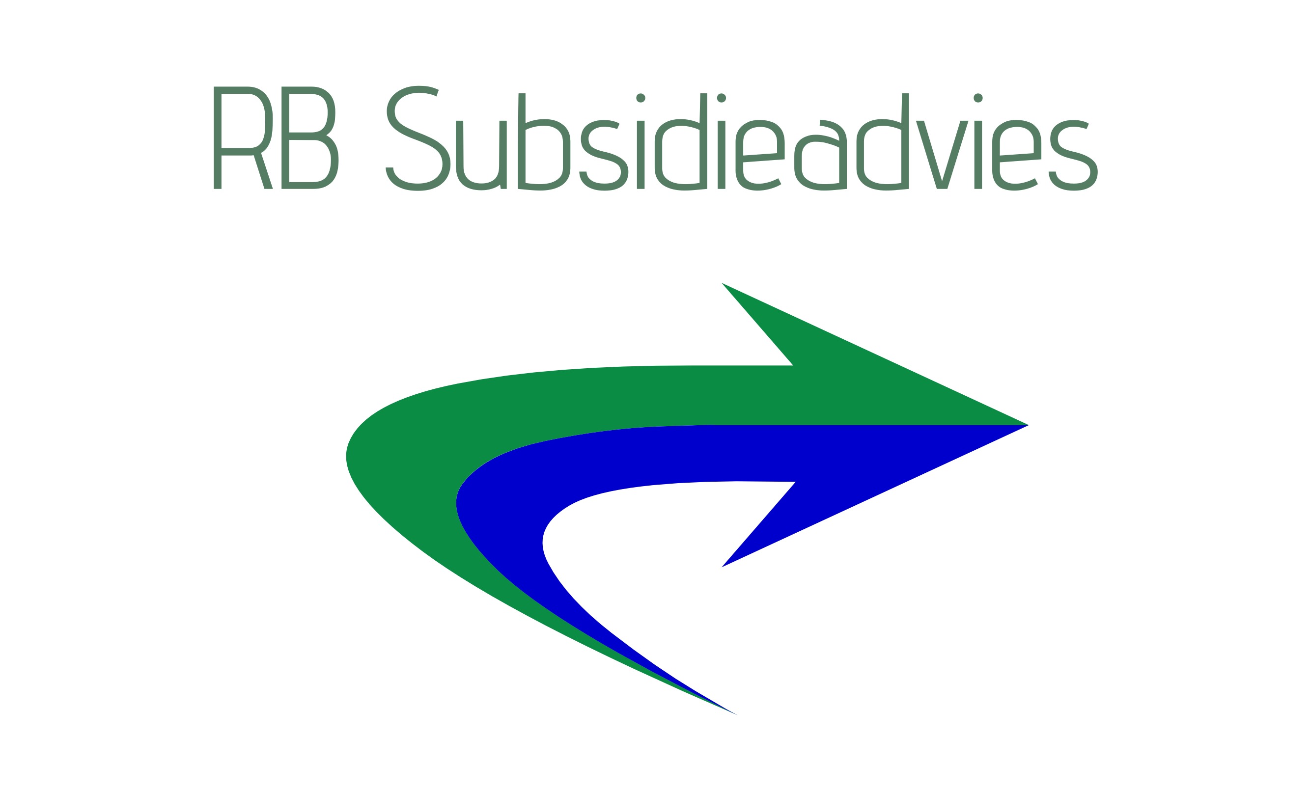 RB Subsidieadvies